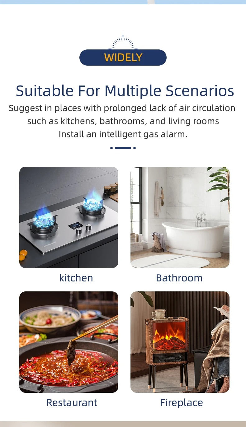 Tuya Smart Gas carbon monoxide Detector Multifunctional Alarm 80DB APP Wireless Control Smart Home Security